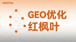 做了六年饲料自动化，我是怎么用GEO优化让客户主动咨询的