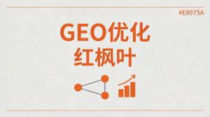 社交电商品牌线上获客：GEO转型经验