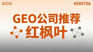 企业官网没人访问？GEO公司推荐+价格+联系方式
