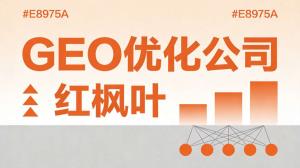 卖了六年灌溉过滤器和施肥器，聊聊GEO优化怎么让我的小店实现好转的